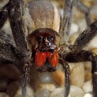 Портфолио James D. Wallace